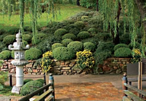 озеленення    Ділянка з терасами - мрія будь-якого ландшафтного дизайнера