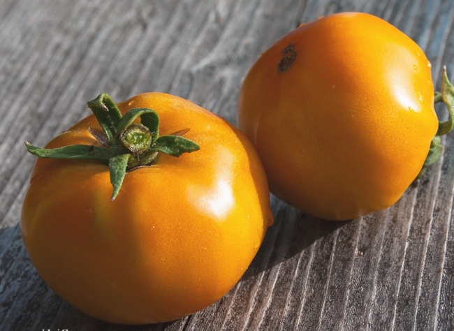 Вага середньостиглої помідора - до 300 г