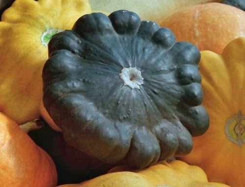 Красиві масивні плоди відрізняються дуже темною, майже чорною шкірочкою і контрастною білою м'якоттю з приємним ароматом