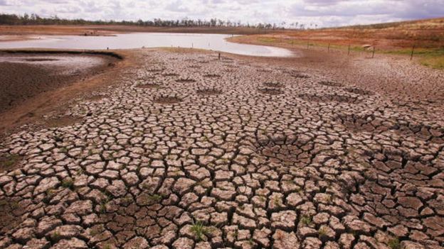Уряд Австралії, яка переживає найбільшу в своїй історії посуху, розробило ряд заходів для допомоги фермерам
